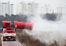 고병원성 AI, 15만 마리 사육 산란계 농장서 확진…올 가을들어 첫번째