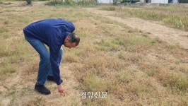 휴양도시에서 기후총회 연 이집트, 기후위기에 식량난까지 겹쳐 속 타는 서민들 [COP27]