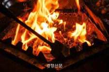 5년간 국공립 숲속야영장 2배 확대···글램핑·차박 인프라 개선