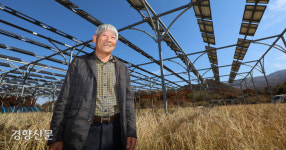 땅에는 벼·하늘엔 전기…‘1타2피’ 영농형 태양광