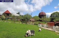 충북 증평군, 농축산물 생산·체험학습장 갖춘 농촌관광휴양단지 개발 추진