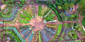 “숲처럼 디자인하면 작물이 스스로 자라요”