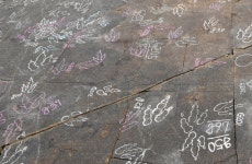 진주시, 국립지질유산센터 설립 추진