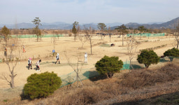 불법 파크골프장으로 ‘끙끙’ 앓는 낙동강[현장에서]