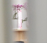 전직 구의원 전용 ‘호화 경로당’ 만든 광주 남구…개소 비용 1억원에 5년간 월세까지 지원