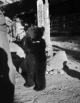 케른 김근원과 산의 기억[김창길의 사진공책]