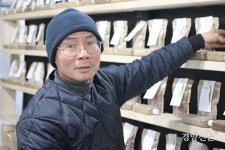 토종쌀 영그는 붉은 벌판 볼 수 있을까