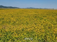 [단독]특정법인이 새만금 특화단지 독식 논란…국립대도 재임대 의혹