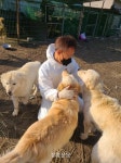 경남도, 유기·유실동물 입양장려금 지원…마리당 최대 20만원