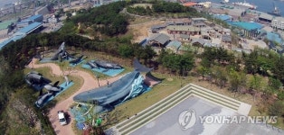 울산 장생포고래문화마을 ‘강소형 관광지 육성사업’ 선정···여행코스 개발·마케팅 지원