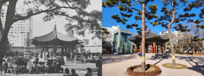 [반세기, 기록의 기억] 최초의 근대공원으로 3·1운동 점화…봄을 기다리는 ‘어르신 성지’