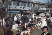 인천 ‘배다리’, 베니스비엔날레에 선보이는 이유가 있다