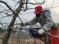 조은임업 박재민 | 울진 산불 1년…잦은 화마에 일터 잃을까 속 앓는 ‘임업인’과 갈 곳 잃은 ‘이재민’