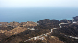 조은임업 박재민 | 울진 산불 1년…잦은 화마에 일터 잃을까 속 앓는 ‘임업인’과 갈 곳 잃은 ‘이재민’