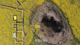 유채밭 사이 ‘제주 숨골’…2공항에 묻힐까[포토뉴스]