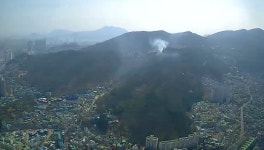 부산 범천동 팔금산서 산불…1시간 만에 진화
