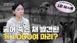 굶어 죽은 개 1000마리 집에서 발견됐다?[암호명3701]