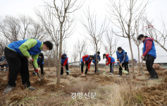 식목일 말고 진짜로 나무심기에 좋은 시기는 언제?