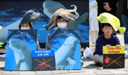 “벨라는 살고 싶다”…환경단체 벨루가 방류 이행 촉구[정동길 옆 사진관]