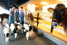 이제 건물에서 농사짓는다…‘원도심 살리기’ 차원에서 대전 본격 추진