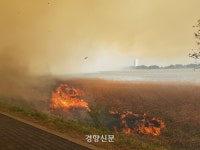 관광지 경포 일원 화마에 쑥대밭···해변가 송림도 불타[산불 현장]