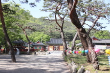 포항 내연산보경사시립공원 내달 4일부터 관람료 전면 폐지
