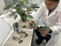 식집사들이 지켜야할 원칙 두가지는?…‘반려식물 종합병원’ 가보니[현장에서]