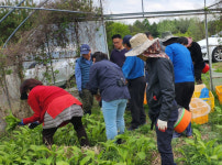 전원생활 꿈?…“농촌 살아본 후 결정하세요”