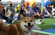 ‘멍때리기’ 고수들 침묵의 한판···저를 보면 마음이 흔들리실 텐데[금주의 B컷]