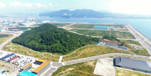 ‘1413년 코끼리 유배사건’의 비극…단식투쟁과 눈물로 호소했지만[이기환의 Hi-story]