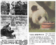 ‘1413년 코끼리 유배사건’의 비극…단식투쟁과 눈물로 호소했지만[이기환의 Hi-story]