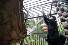 흙·물·풀·꽃 세상으로…‘곰곰곰곰 곰이 왔어요~’[포토다큐]