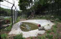 흙·물·풀·꽃 세상으로…‘곰곰곰곰 곰이 왔어요~’[포토다큐]