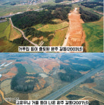 “고조선 준왕의 망명지인가”…2200년전 ‘세형동검 거푸집 출현했다[이기환의 흔적의 역사]