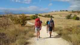 ‘내 나이가 어때서’ 시니어, 여행을 독립하다