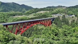‘내 나이가 어때서’ 시니어, 여행을 독립하다