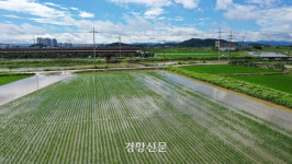 논산천 제방 복구 한창…밤부터 다시 강한 비[현장 화보]