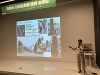 시민들이 발로 뛰어 만든 ‘가로수 지도’…효자로 가로수 탄소 흡수량은 ‘1t’