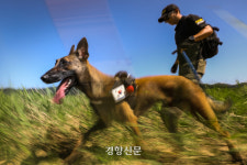 [르포] 수마 할퀸 경북, 태풍 ‘카눈’ 소식에 초비상…“실종자 수색 어떡하나”