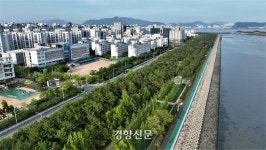 잼버리에 숲이 있었다면?…매년 느는 태풍 피해, ‘숲’으로 막는 곳들