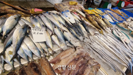 불안한 국민들 먹여라?···정부, 단체급식 업체에 수산물 소비 확대 요청