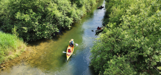 충주 남한강 장자늪, 카누 타고 즐겨요