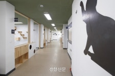 “길냥아 학교 가자”···경남 통영에 ‘고양이 보호·분양센터’ 문 열어