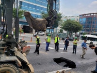 강남 봉은사로에 ‘싱크홀’…차로 전면 통제 중