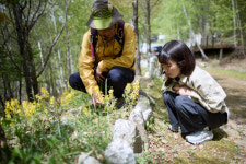 넉넉한 ‘치유의 쉼터’…정선 숲, 웰니스 성지 각광