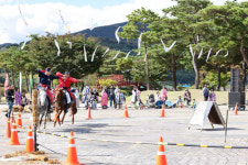 음성 농산물·단양 온달문화·증평 인삼…풍성한 가을 축제