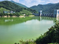 [단독] 홍수 덕에 내성천 모래톱이 돌아왔다···‘영주댐 담수’ 계속 해야 하나