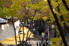 걷기 좋은 날, 걷기 좋은 길···올해 ‘정동문화축제’ 19~21일 열린다