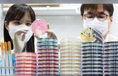 ‘뭘 먹었길래?’···건국대 학생식당 밥 먹고 10여명 식중독 증상