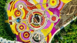 접경지 철원, 인제 ‘가을꽃 밭’ 대박 행진에 함박웃음···유휴지 관광객 몰려드는 명소로 변신